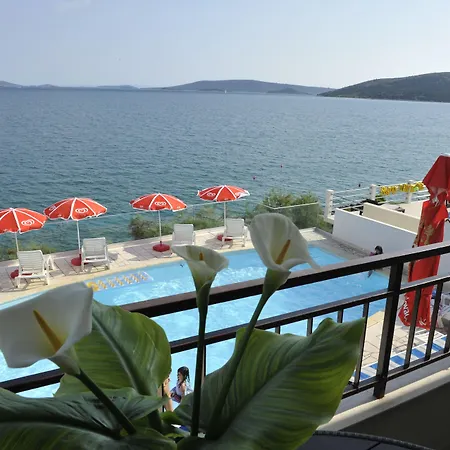 Marija * Seget Vranjica